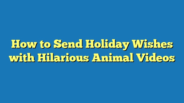 How to Send Holiday Wishes with Hilarious Animal Videos
