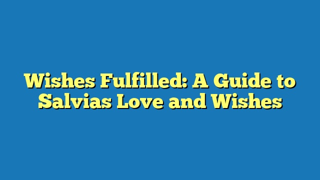 Wishes Fulfilled: A Guide to Salvias Love and Wishes